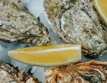 Raw oysters with lemon