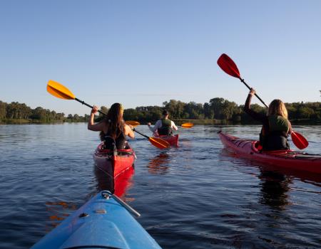 kayaking hilton head