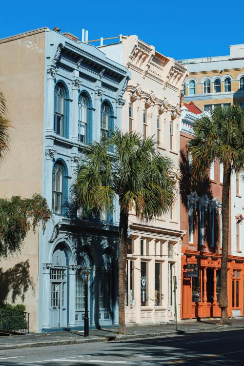 Day Trips from Hilton Head: Unforgettable Adventures Nearby